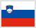 Slovenia flag